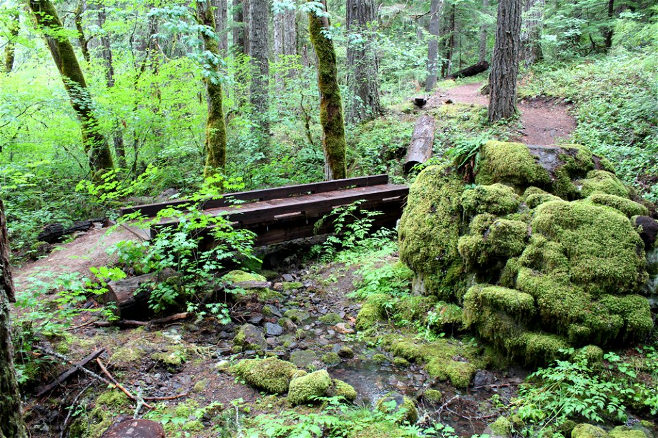 img_1528_dimensional-lumber-bridge-on-trailjpg_49364497006_o