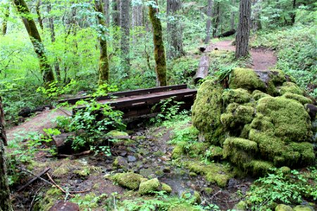 img_1528_dimensional-lumber-bridge-on-trailjpg_49364497006_o