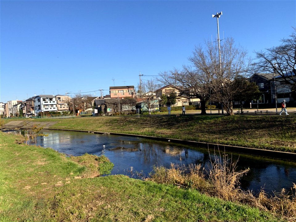 Kurome River in Ishigami, Niiza-shi, Saitama