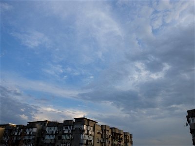 nori-Vitan2015_0520_184810