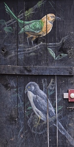 Animal bird door