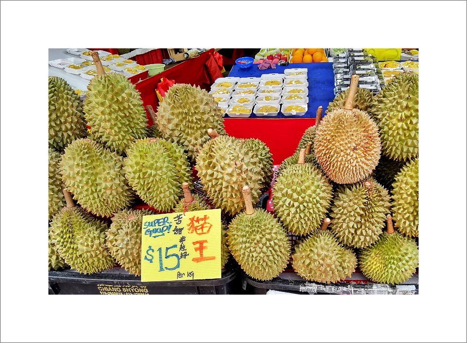 Durians in season - with and without thorns photo