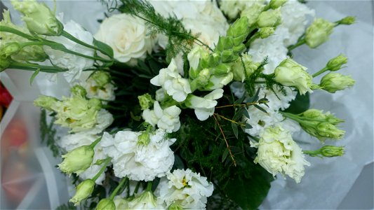 flori_flowers-wife-2023_0216_161524