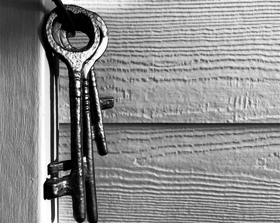 2021/365/130 The Keys To It All photo