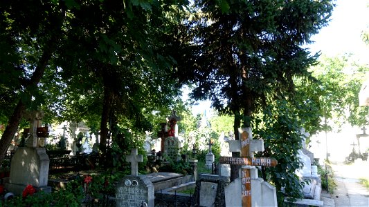 cimitir_SfVineri2021_0808_093321