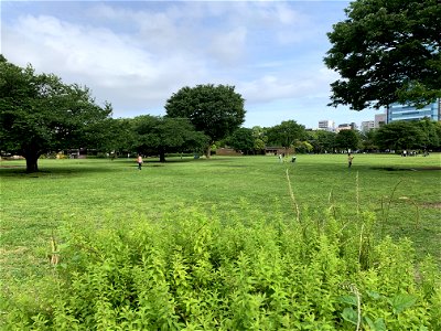 Kiba Park in Koto-ku