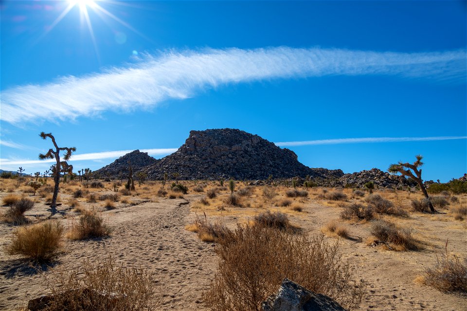 Joshua Tree National Park