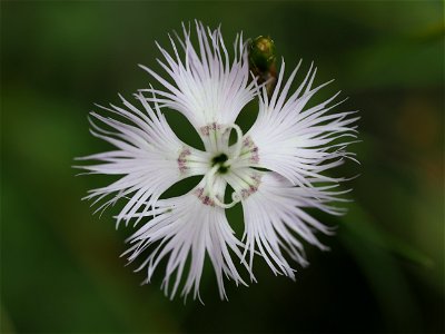 OI000300