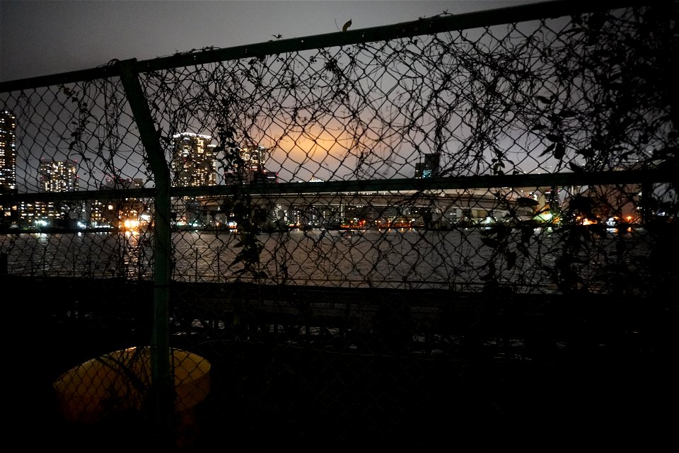 Night wharf photo