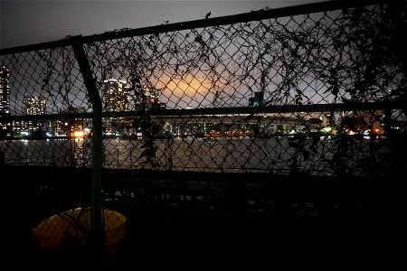 Night wharf photo