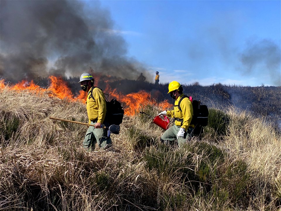 Siuslaw Oregon Dunes Prescribed Burn 2022