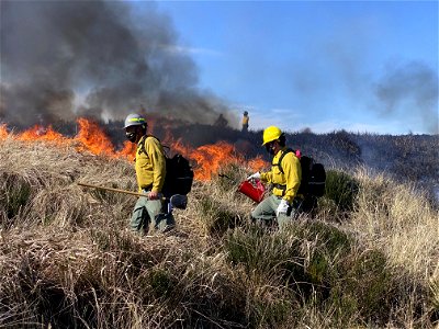 Siuslaw Oregon Dunes Prescribed Burn 2022