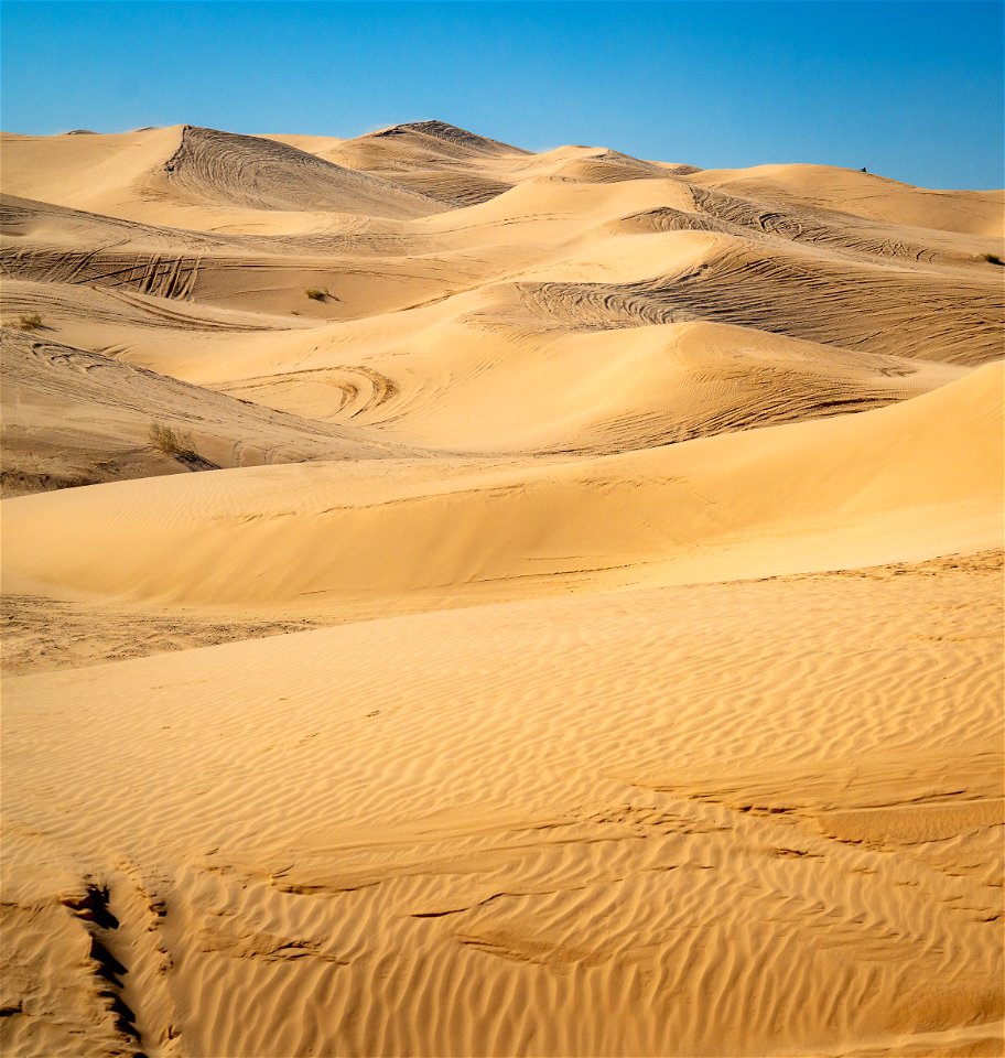 Imperial Sand Dunes
