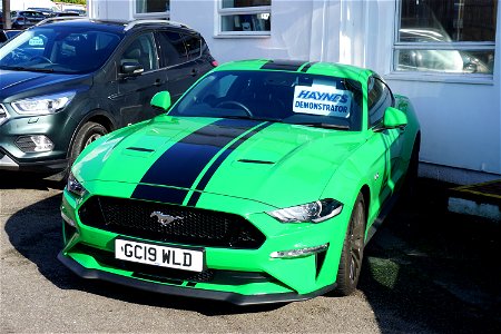 Green Pony