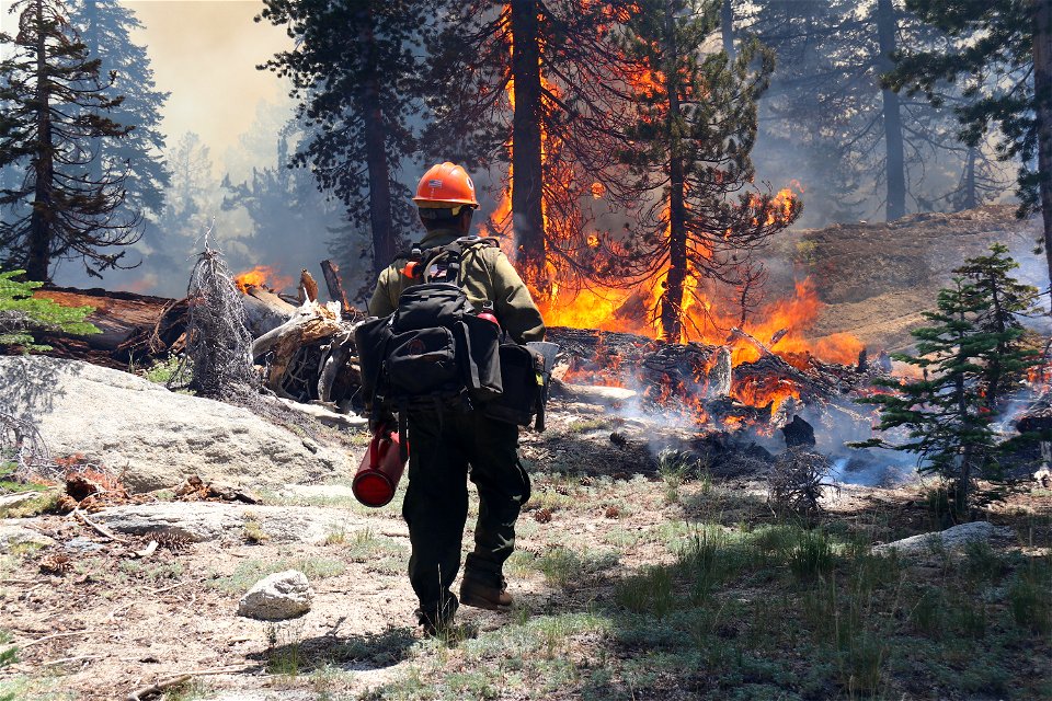 Horeshoe Meadow Hotshot Crew on the Lukens Fire photo