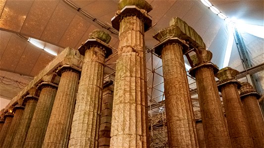 Temple d'Apollon / Bassae