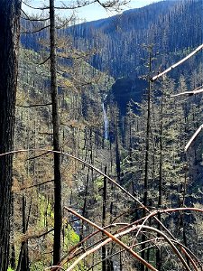 Memaloose Creek Falls after Riverside Fire, Mt. Hood National Forest