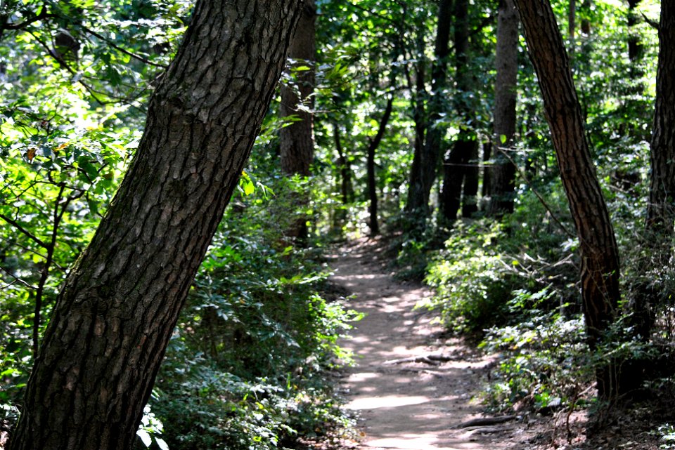 Teajosan Mountain Hiking