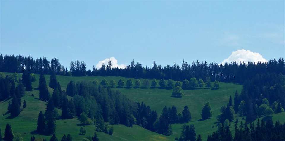 DSC05014