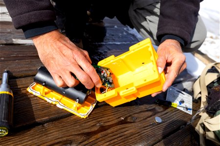 Mike Poland, USGS Scientist-in-Charge, replacing batteriest in a data logger (3) photo