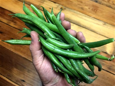 Mmmm Home Grown Green Beans