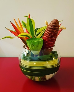 Matagaly flowers pot