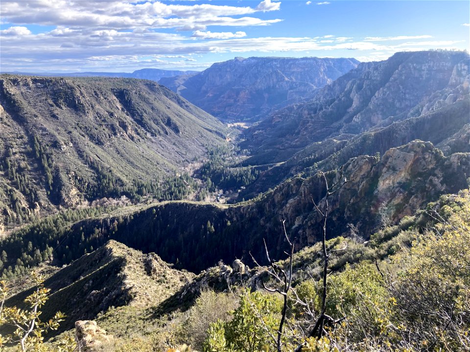 A.B. Young Trail