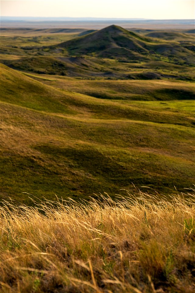 Bitter Creek WSA