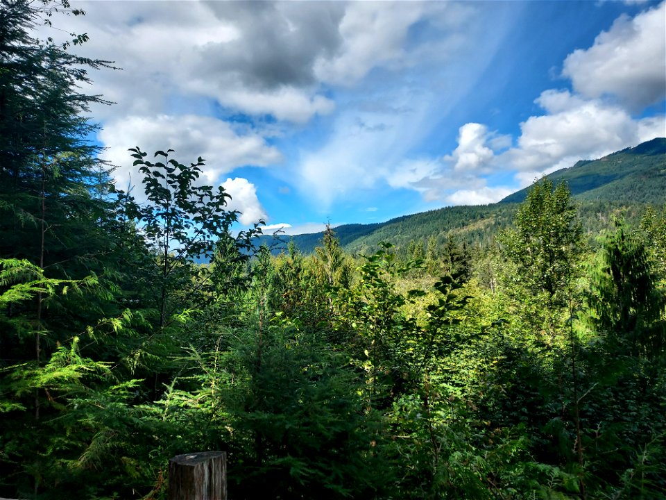 View from White Chuck Overlook, Mt. Baker-Snoqualmie National Forest. Photo by Anne Vassar Sept. 13, 2021.