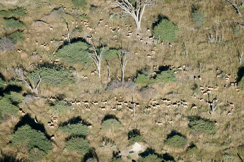 Landscape nature reserve