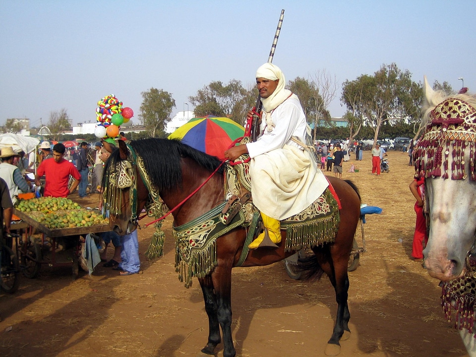 People rider animal photo