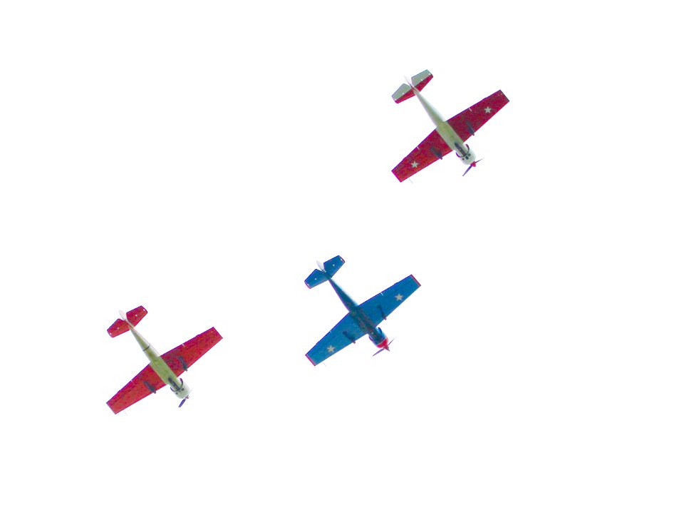 war birds of the sky