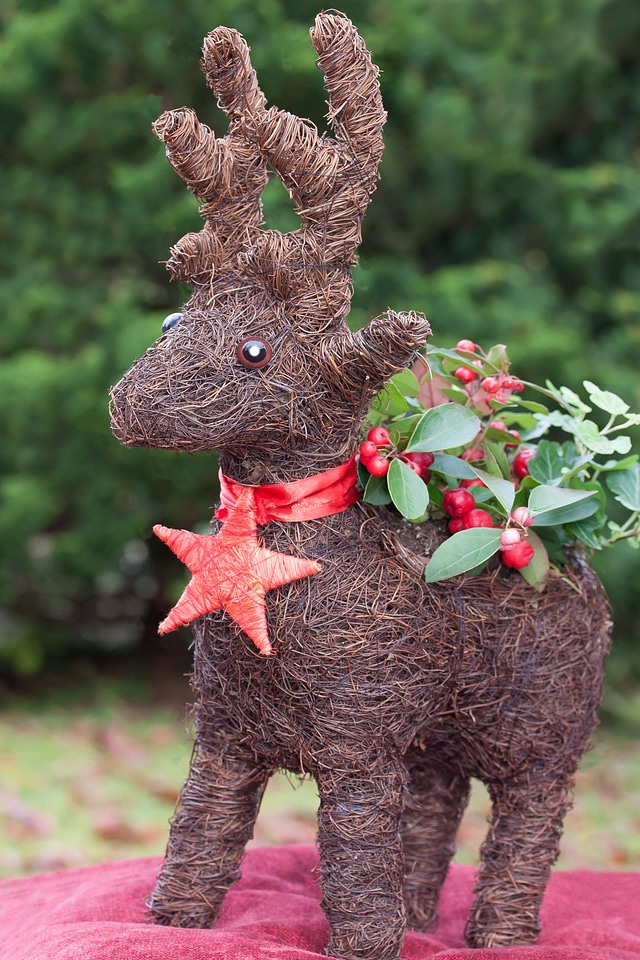 Christmas decorations decoration star