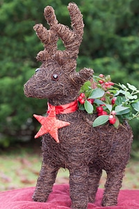 Christmas decorations decoration star