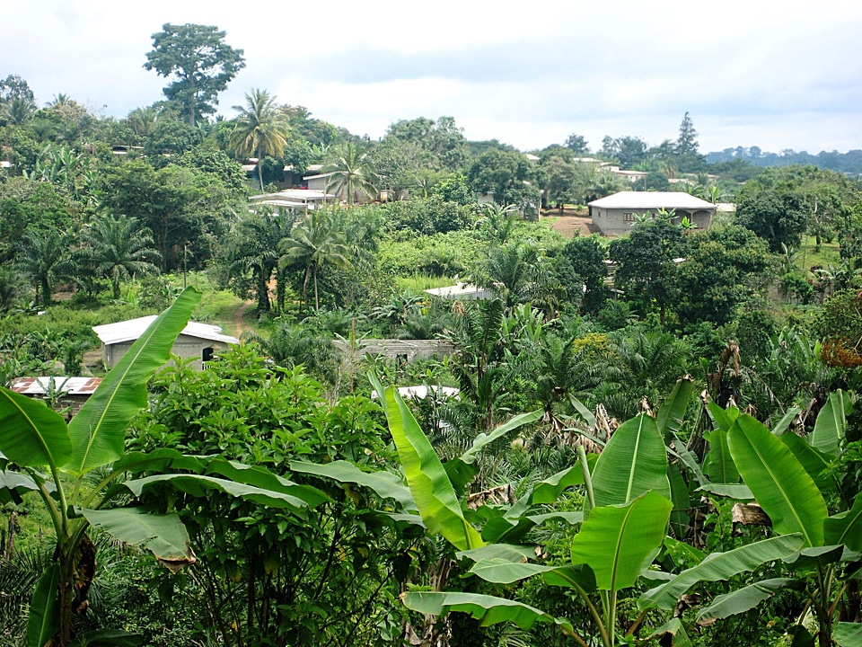 Landscape nature countryside