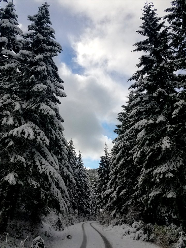 the-path-aheadjpg_48801170772_o