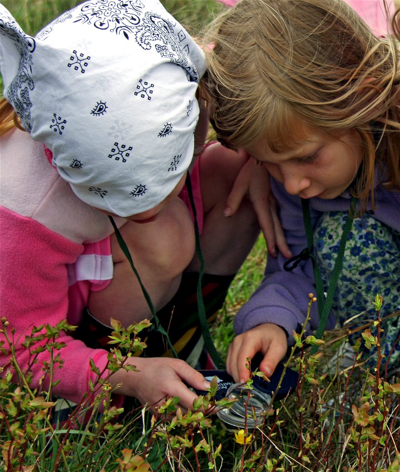 Children examining wildflower