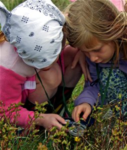 Children examining wildflower