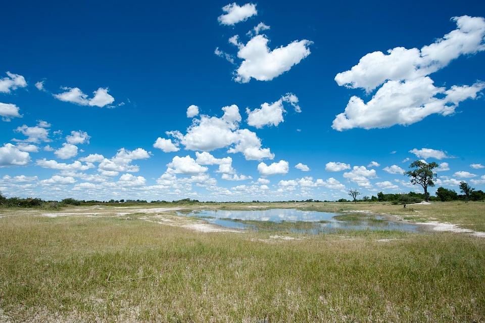Landscape nature environment