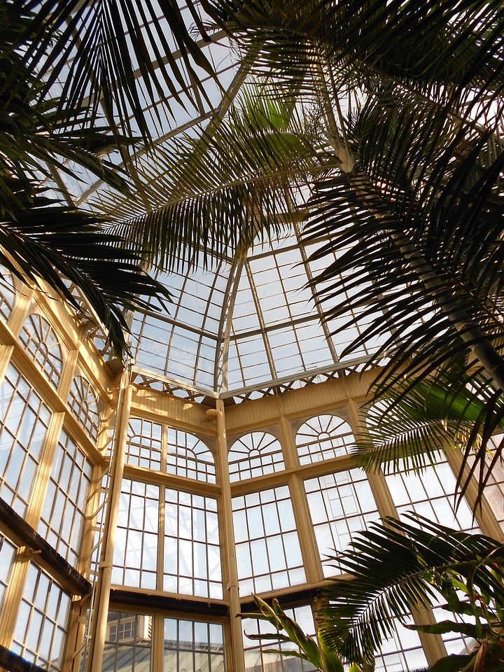 Interior inside ceiling