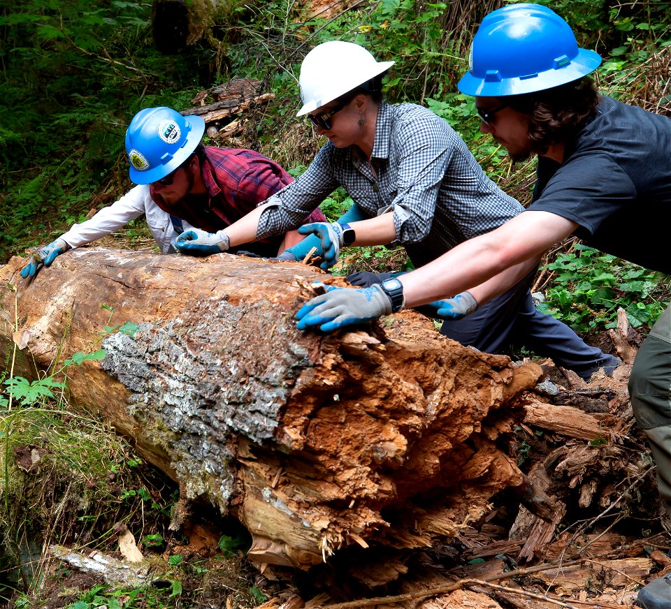 PNTA-Swift Creek-Mount Baker-37