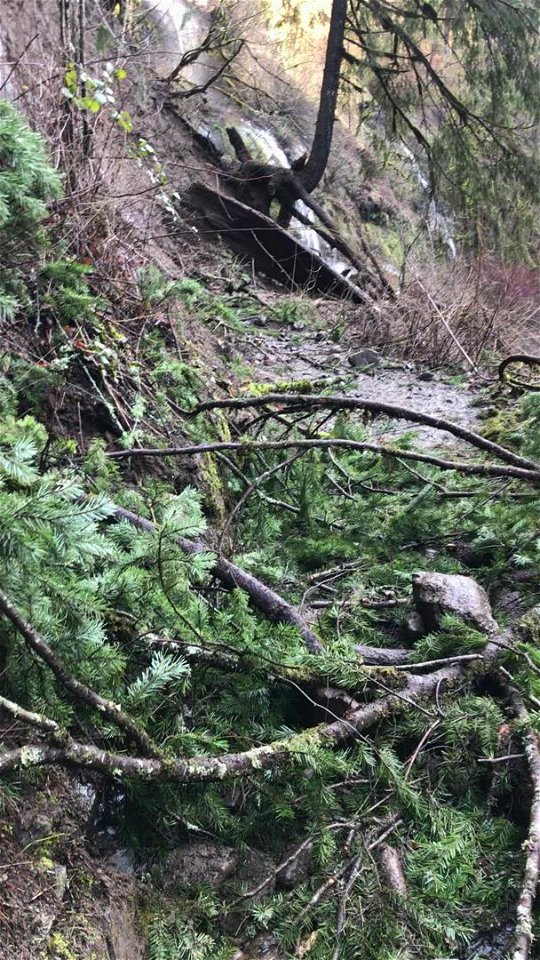 20210125-CRGNSA-Eagle Creek Trail damage video by Jay Horita