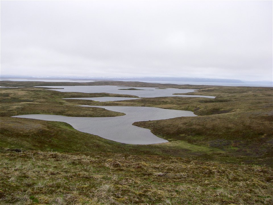 Izembek Wilderness photo