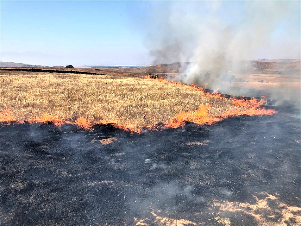 2021 BLM Fire Employee Photo Contest Category: Fuels Management and Prescribed Fire photo