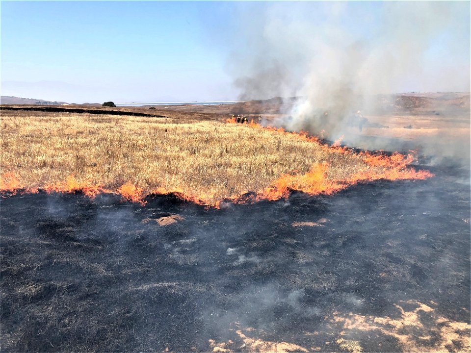 2021 BLM Fire Employee Photo Contest Category: Fuels Management and Prescribed Fire