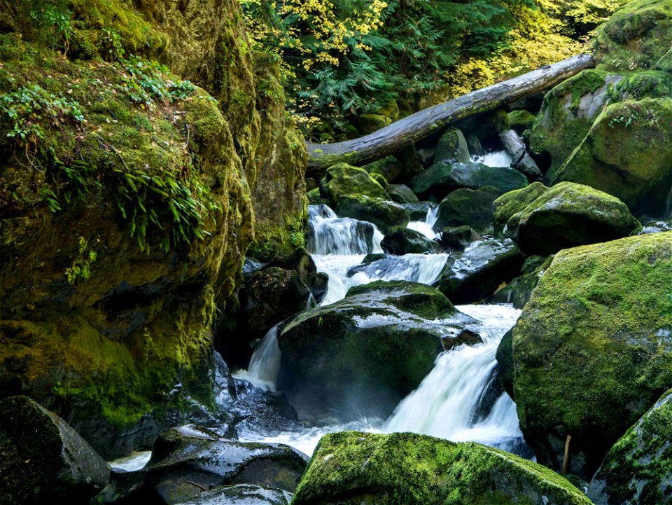 fish-creek-5-karl-konecnyjpg_49385510936_o