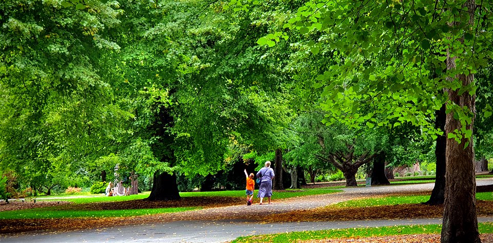 Walk in the park photo