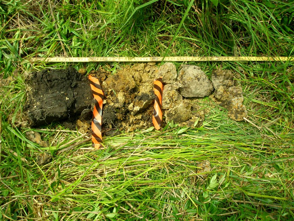 soil profile NWCA11-2051_08.23