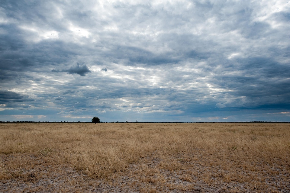 Landscape desert sky
