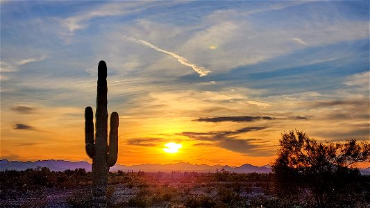 KOFA GAME RANGE , AZ (11-04-2022) -05